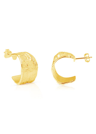 Hoops earrings